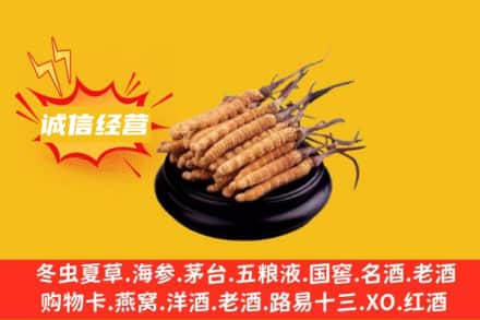 大理鹤庆县回收冬虫夏草